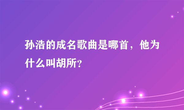 孙浩的成名歌曲是哪首，他为什么叫胡所？
