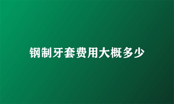 钢制牙套费用大概多少