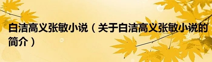 白洁高义张敏小说（关于白洁高义张敏小说的简介）