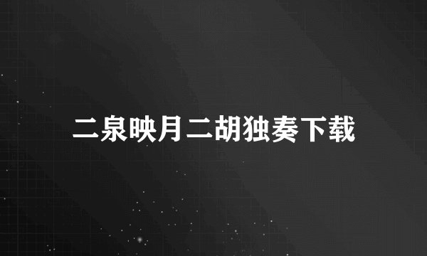 二泉映月二胡独奏下载