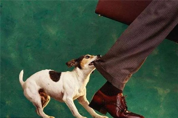 梦见狗咬别人是啥预兆 梦见狗咬别人预示什么