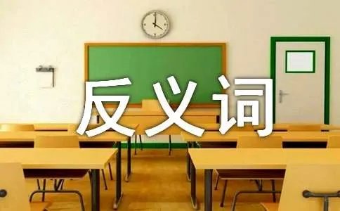 聪明的反义词