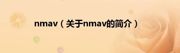 nmav(关于nmav的简介)