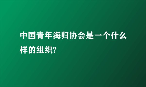 中国青年海归协会是一个什么样的组织?