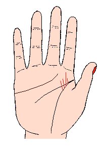 事业线图解，最详细的图文让你看懂事业线命运线