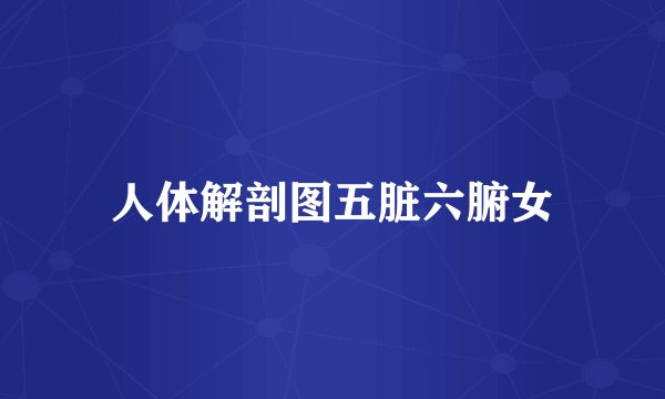 人体解剖图五脏六腑女