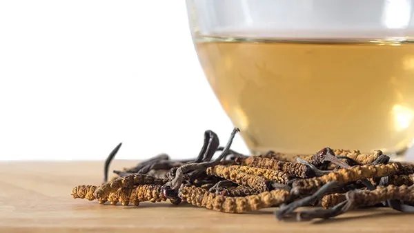 冬虫夏草吃法及用量是什么，吃冬虫夏草的注意事项有哪些？