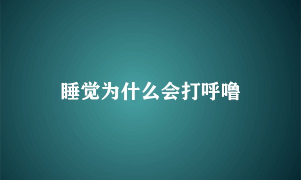 睡觉为什么会打呼噜