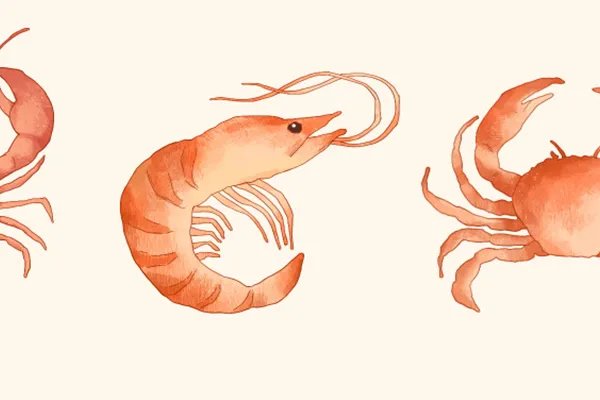 孕妇可以吃大闸蟹不