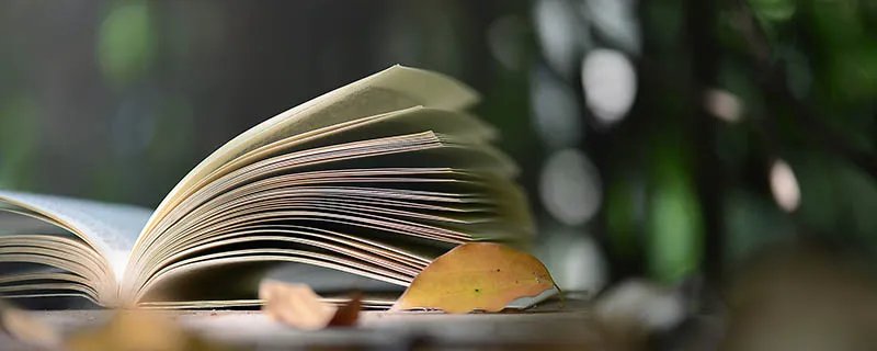 话唠话痨有区别吗