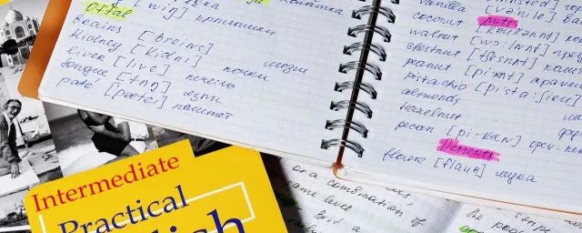 栗子的英文怎么读