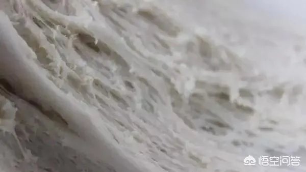 做包子怎么发面？