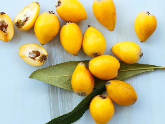 枇杷果的功效与作用