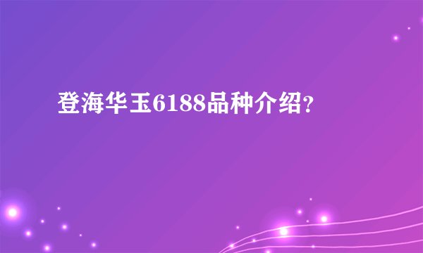 登海华玉6188品种介绍？