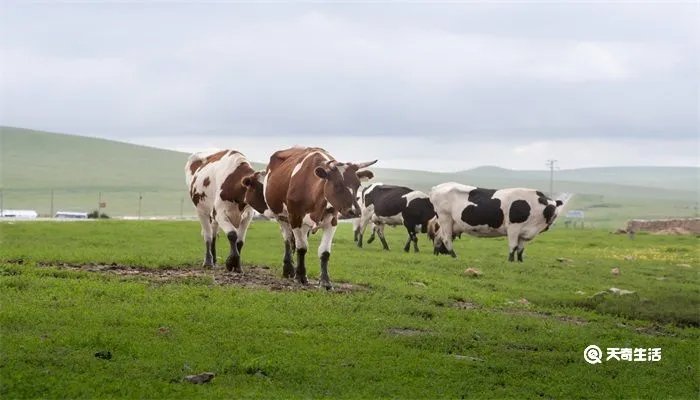 不毛之地是什么意思