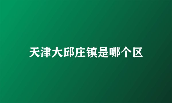 天津大邱庄镇是哪个区