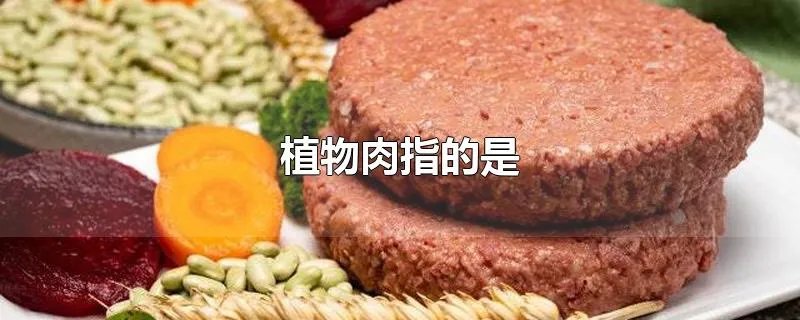 植物肉指的是
