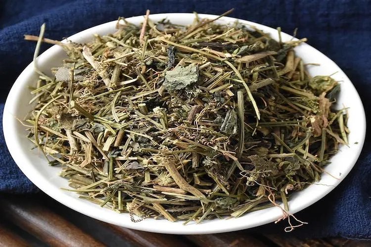 绞股蓝草药图片