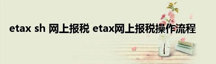 etax sh 网上报税 etax网上报税操作流程
