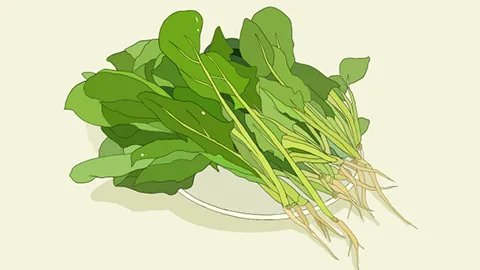 抗氧化的食物有哪些