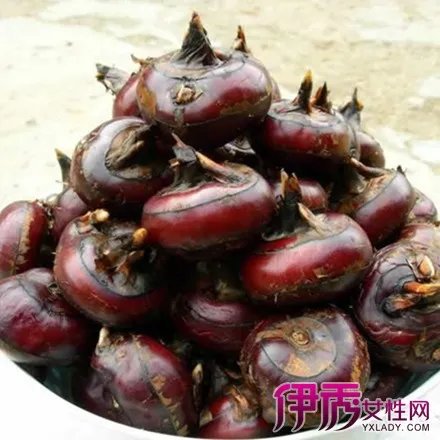 荸荠图片介绍