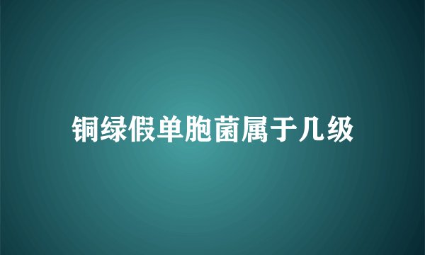 铜绿假单胞菌属于几级