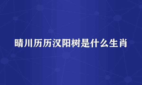 晴川历历汉阳树是什么生肖