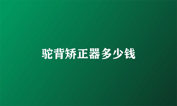 驼背矫正器多少钱