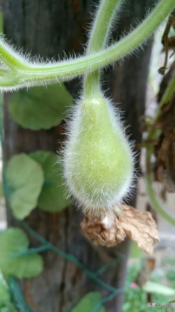 普通人怎么拍出好看的照片？