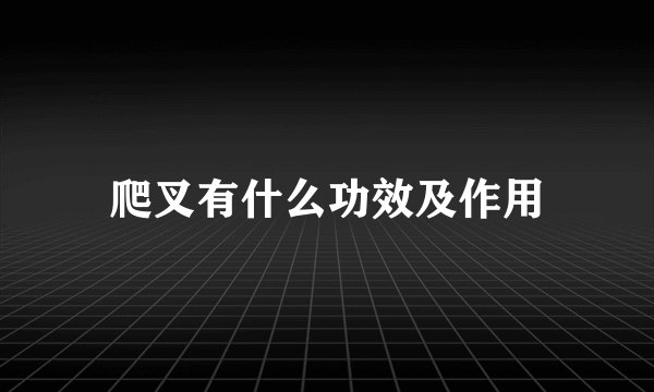爬叉有什么功效及作用