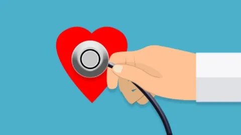 金线莲的功效与作用