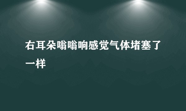 右耳朵嗡嗡响感觉气体堵塞了一样