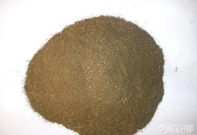 发酵棕榈粕到底有多好？如何使用？