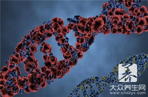 染色体是检查什么？染色体检查的作用