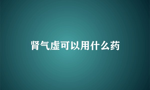 肾气虚可以用什么药