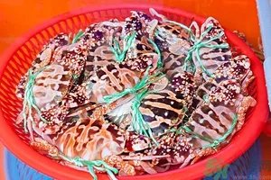 螃蟹怎么保存才新鲜？活螃蟹怎么保存过夜？