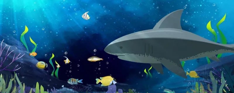 鲨鱼属于鱼类吗 鲨鱼的生活习性