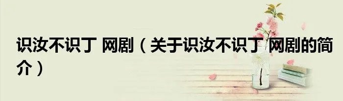 识汝不识丁 网剧（关于识汝不识丁 网剧的简介）