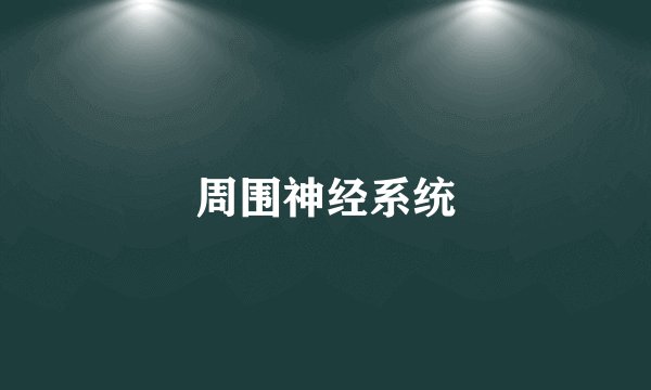 周围神经系统