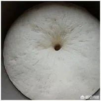 做包子怎么发面？