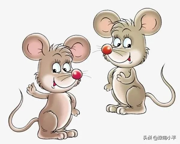 钱袋子代表什么意思