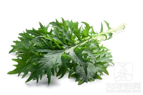 用泡沫箱种菜有毒吗