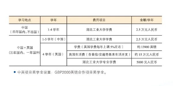 中外合作办学学费一般多少？