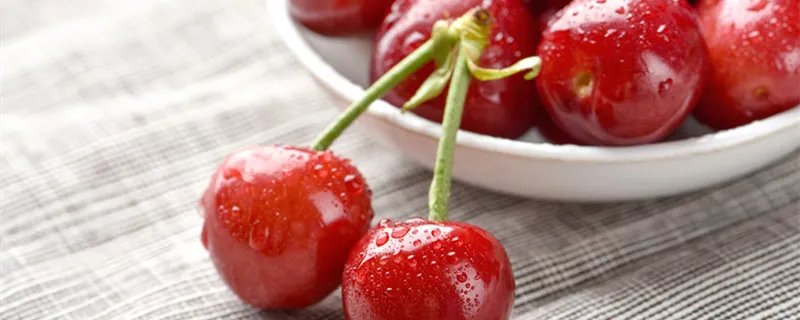 保鲜剂是什么东西 保鲜剂指的是什么东西