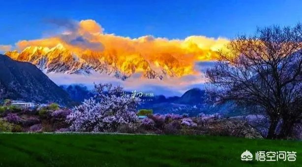 小辉夫妇意外死亡让人心痛至极,如果出现高原反应该怎样采取自救?