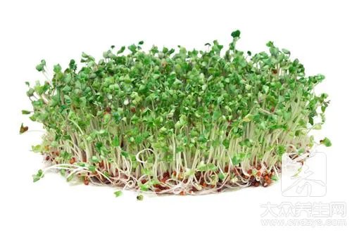 绿豆芽有什么营养价值