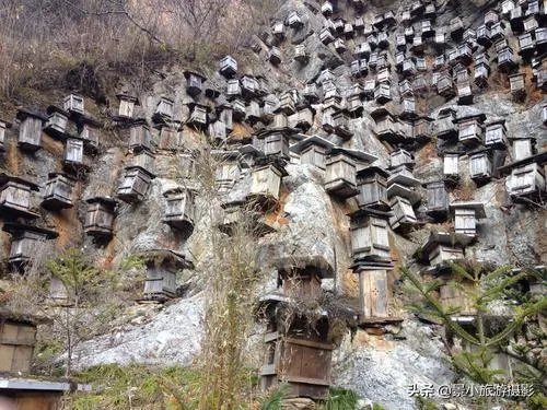 神农架好玩吗？