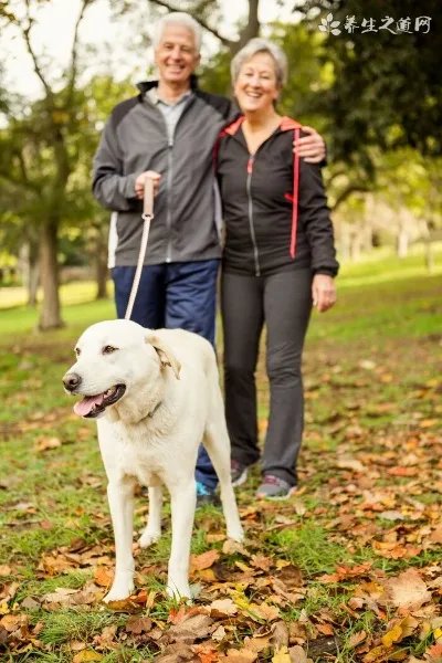 快速力量训练怎么做呢？