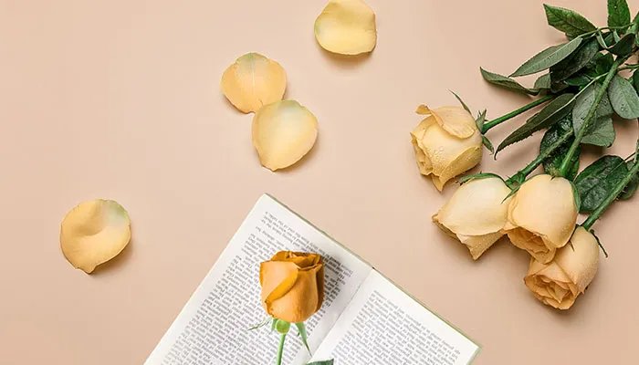 十一朵玫瑰代表什么 十一朵玫瑰代表的意思