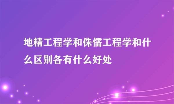 地精工程学和侏儒工程学和什么区别各有什么好处